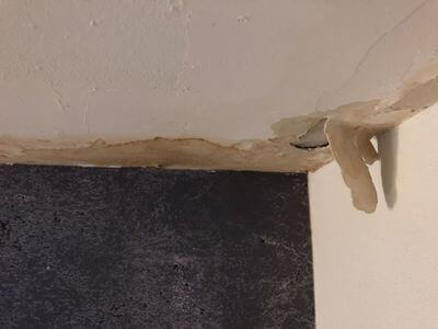 Professional black mold removal services in Star Valley - Star Valley Black Mold Removal
